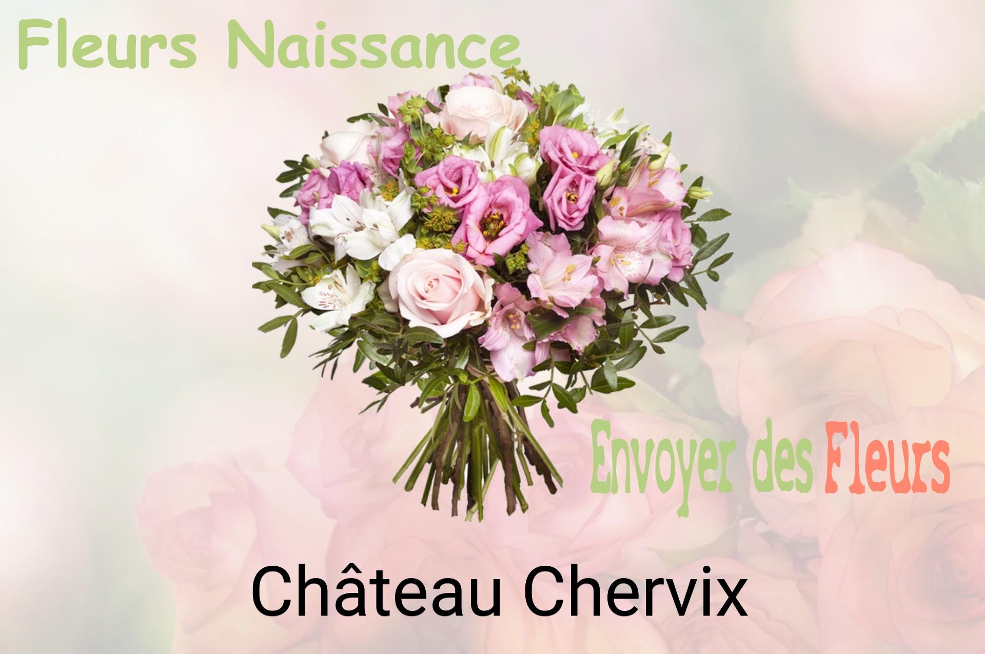 Bouquet de fleurs de naissance livré à Château-Chervix